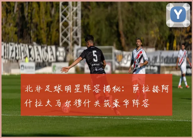 北非足球明星阵容揭秘：萨拉赫阿什拉夫马尔穆什共筑豪华阵容