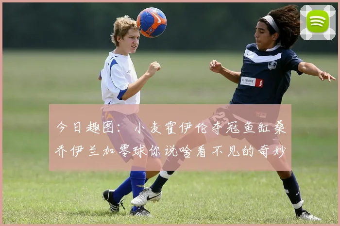 今日趣图：小麦霍伊伦夺冠鱼缸桑乔伊兰加零球你说啥看不见的奇妙瞬间